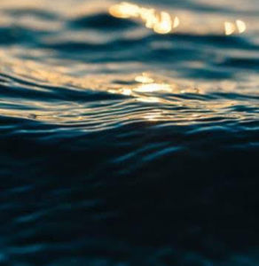 Meet your Posher, Jake